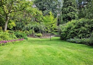 Optimiser l'expérience du jardin à Orvillers-Sorel